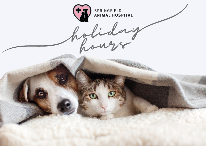 Carousel Slide 1: Click to View Hours!