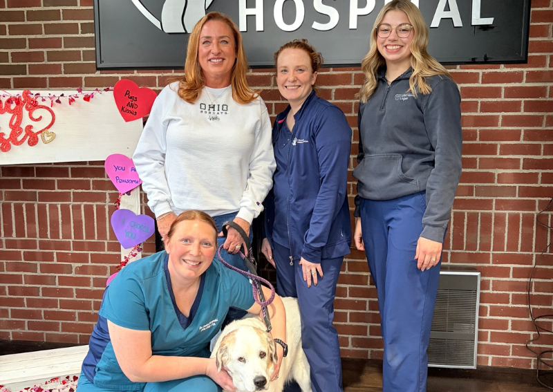 Carousel Slide 9: Meet our veterinary team>>